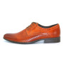 Shoes man's brown Tapi (Poland) model 3608-3058