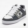 Men's DC EO-PURE DC01782027 Sneakers: Grey Skate Classic