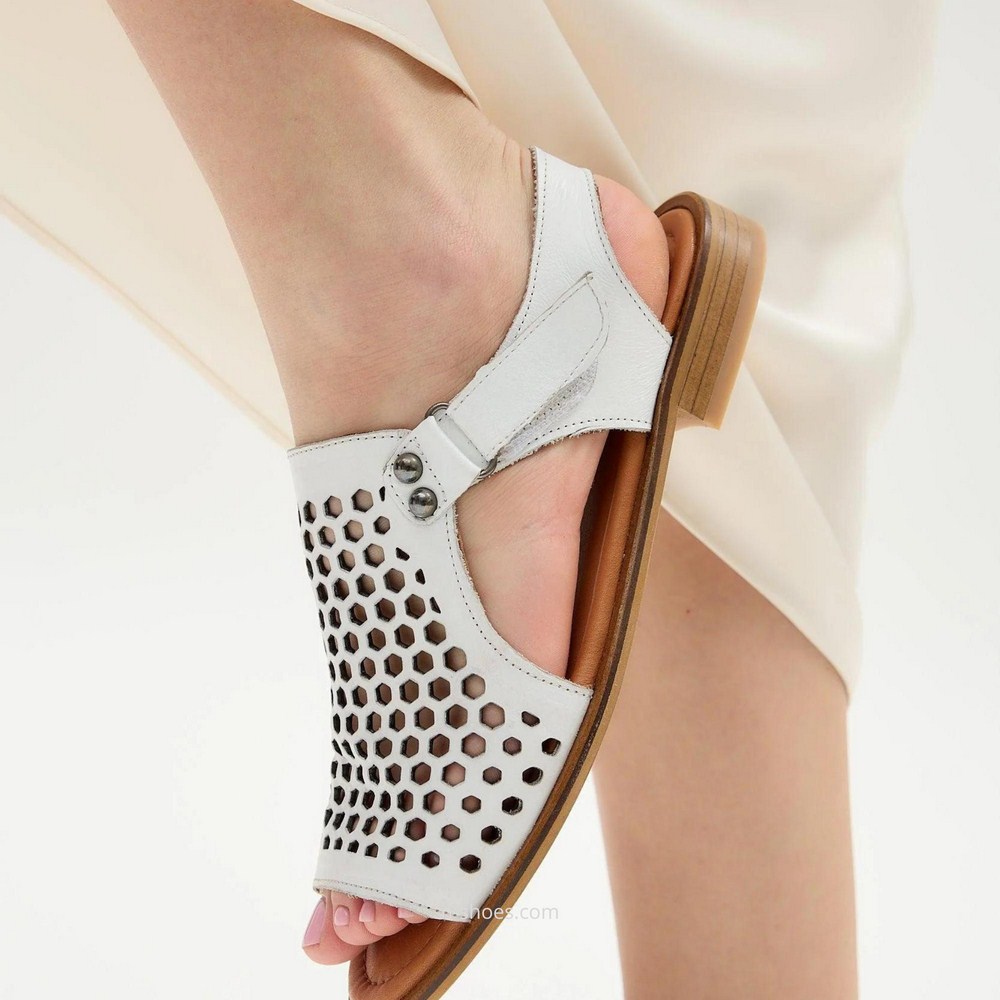 Жіночі туфлі Anna Lucci (Туреччина) модель 184667 5235