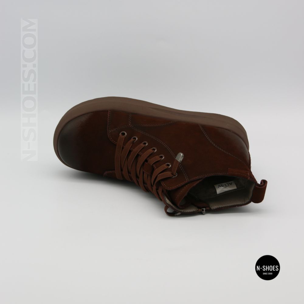 Женские зимние ботинки Allsy 215012 26Z53Z3585-1 Brown 6381