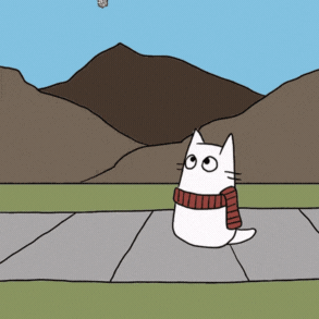 Сезон Зима 2025/2026