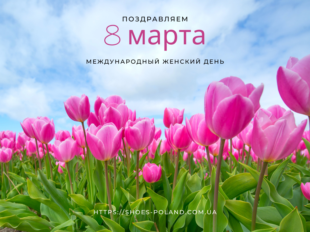 с 8 марта жене с 8 марта жене
