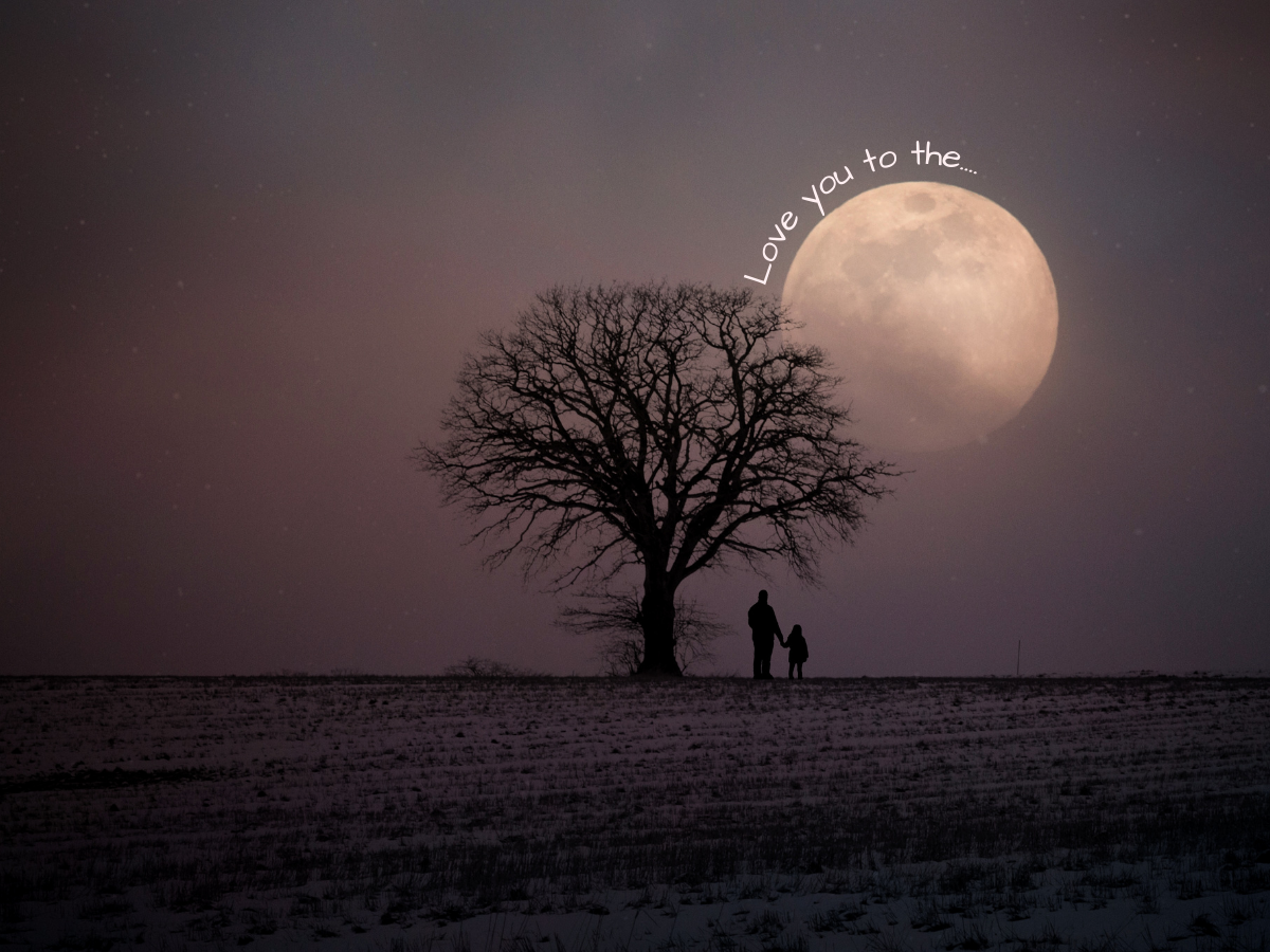 holy 14th of the fierce