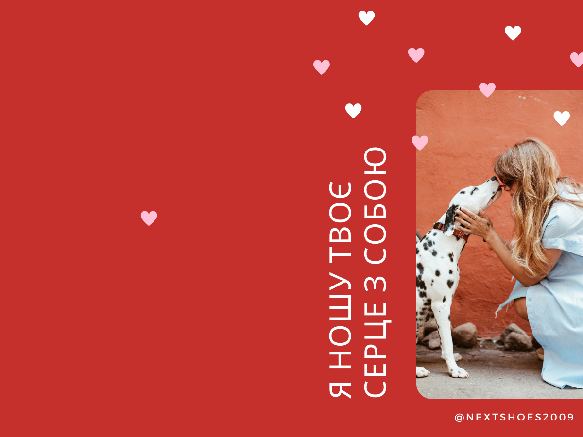 з 14 лютого подрузі з 14 лютого подрузі